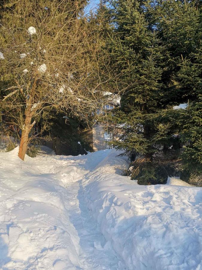 Holiday Home In Harrachov 2311 Bagian luar foto