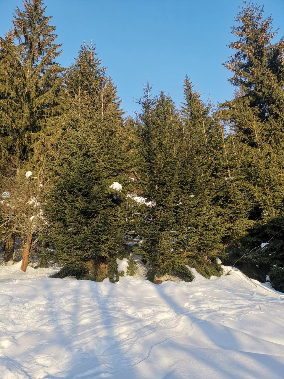 Holiday Home In Harrachov 2311 Bagian luar foto